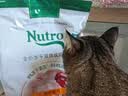 美士全价冻干双拼成猫猫粮 4.5kg 8%原切冻干 实拍图