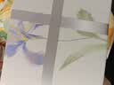 京东京造100%纯棉四件套全棉床单被套抑菌套件床上用品220*240cm1.8/2米床  鸢尾花语 实拍图