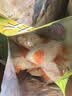 维维无添加蔗糖豆奶粉500g 非转基因大豆营养早餐冲饮代餐 速溶即食 实拍图