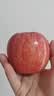 洛川苹果陕西延安时令苹果水果红富士苹果礼盒送礼生鲜新鲜产地直发 【26年新果】15枚70mm嘎啦苹果 实拍图