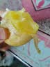 山东新鲜黄心土豆农家自种黄皮马铃薯黄心洋芋新鲜蔬菜 山东黄心大豆大果9斤 净重 实拍图
