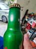 青岛啤酒（TsingTao）经典1903 四季常青款 铝瓶 473ml*12瓶 整箱装 国庆出游 实拍图