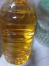 金龙鱼 食用油 葵花籽清香型调和油5L （新老包装随机发货） 实拍图