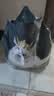 亿迪猫粮冻干幼猫成猫10斤全价英短蓝猫布偶老年猫国产通用全阶段5kg 实拍图