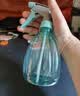 喷壶浇花浇水喷雾器气压式喷水壶家用园艺养花500ml 南瓜喷壶透蓝【1个装】 实拍图