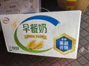 伊利早餐奶麦香味 250ml*24盒 浓香麦片早餐伴侣 礼盒装 实拍图