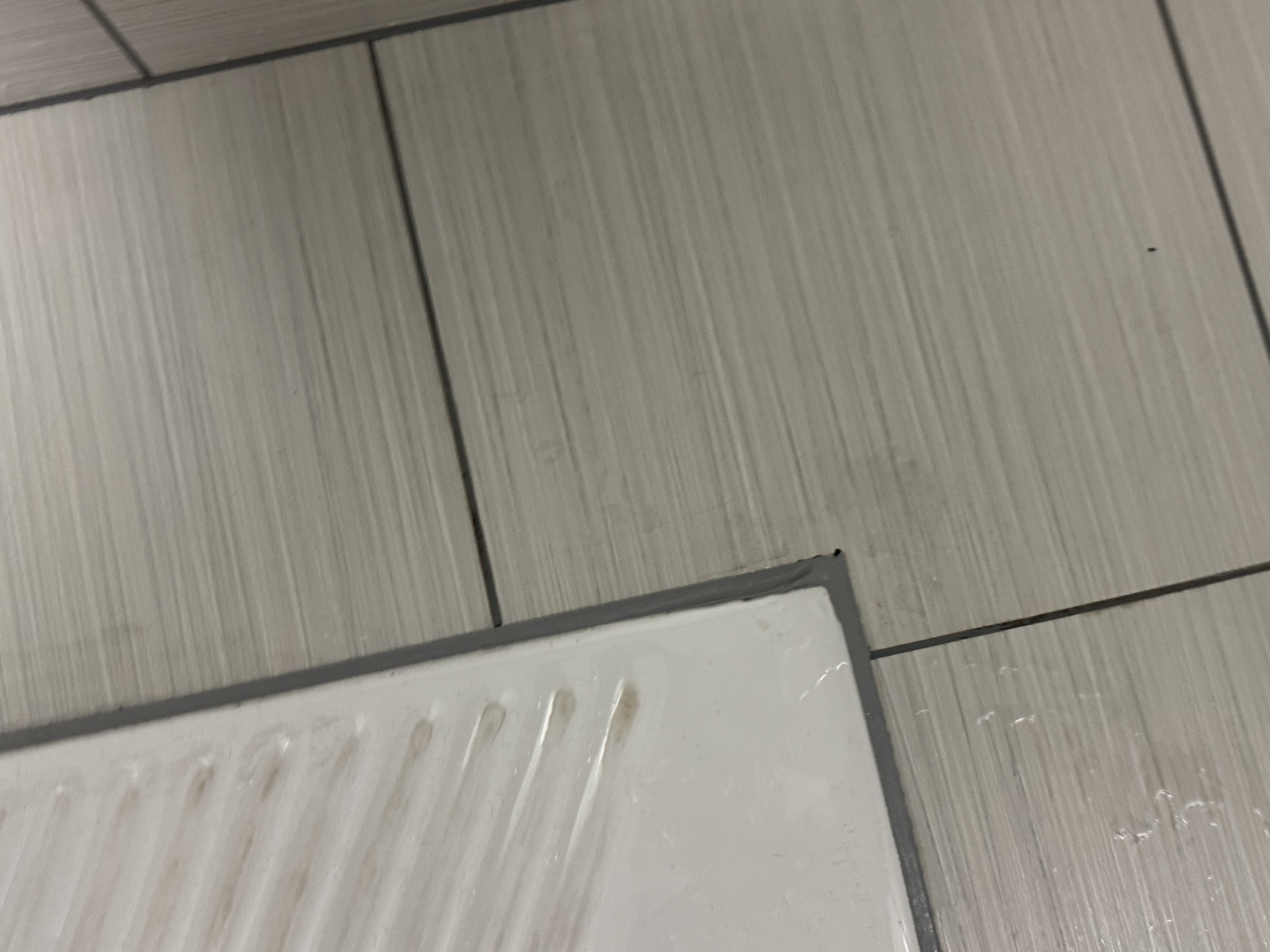 雨虹防水天冬聚脲美缝剂 耐老化 耐紫外线 聚脲浅灰 实拍图