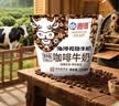 海河咖啡牛奶220ml*10袋整箱牛角包早餐奶风味新鲜营养送礼 实拍图