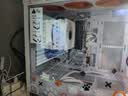 七彩虹【24期免息】海景房i5 14600KF RTX5060TI 5070TI 橘猫定制款 电竞游戏设计AI电脑主机台式组装机 配一：14600K丨32G丨1TB 官方全新保障 实拍图