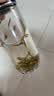 张一元茉莉花茶叶毛尖浓香型新春茶老北京伴手礼物口粮茶特种300g礼盒装 实拍图