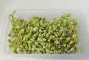 小熊（Bear）电蒸锅 炖蒸煮一体自动断电2层蒸锅家用3-4人 不锈钢分体可拆18L大容量小食光多功能锅 DZG-RA8N5 实拍图