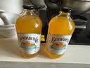 宾得宝（Bundaberg）新品含气不知火柑橘饮料375ml*6玻璃瓶装 澳洲丑橘果汁气泡水 实拍图