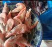 鲜生说 大号头籽北极甜虾净重3斤 40-50只/斤 95-99%头籽率 即食冰虾 实拍图