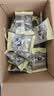 北大荒黑豆纯豆浆粉500g（25袋）无添加高蛋白高纤维低gi冲饮谷物早餐 实拍图