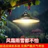 颖朗太阳能吊灯户外庭院子灯防水道路照明灯阳台凉亭挂灯天黑自动亮灯 实拍图