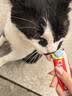 伊纳宝ciao猫零食成猫猫条宠物零食妙好啾噜流质零食布偶猫湿粮鱼条 【预防毛球】金枪鱼味14g*16条 实拍图