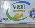 伊利早餐奶麦香味 250ml*24盒 浓香麦片早餐伴侣 礼盒装 实拍图