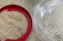 禾泱泱稻鸭原生小泱胚芽米500g 独立真空包装主食米粥营养早餐自制辅食 实拍图