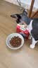 弗列加特猫粮 全价鲜肉天然粮 肠道养护配方 成猫猫粮鸡肉100g 实拍图