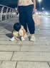 朴西户外沙滩夏季出游情侣洞洞鞋溯溪 卡其色39-40 实拍图