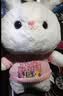 熊猫熊兔子玩偶娃娃毛绒玩具小姑娘女孩生日礼物女生儿童陪睡觉抱枕公仔 实拍图
