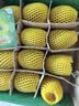 佳沛（zespri）新西兰金奇异果12粒特大果124-146g猕猴桃水果礼盒 实拍图