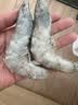 虾有虾途国产青岛大虾白虾青虾基围虾鲜虾冷冻生鲜虾类活冻特大海捕整箱装 16-18cm【活虾速冻】 3斤(净重) 实拍图