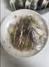 美丽雅 一次性保鲜膜套盒装100只 冰箱食物保鲜罩 松紧自封口大小通用 实拍图