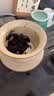 京东京造 8年陈普洱熟茶150g2017年云南布朗普洱茶叶自己喝口粮性价比 实拍图