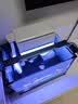 森森（SUNSUN）耀蓝鱼缸水泵小型潜水泵过滤泵抽水泵YQP-500 6W 实拍图