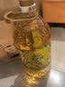 金龙鱼 食用油 非转基因 物理压榨不油腻轻年玉米油4L 实拍图