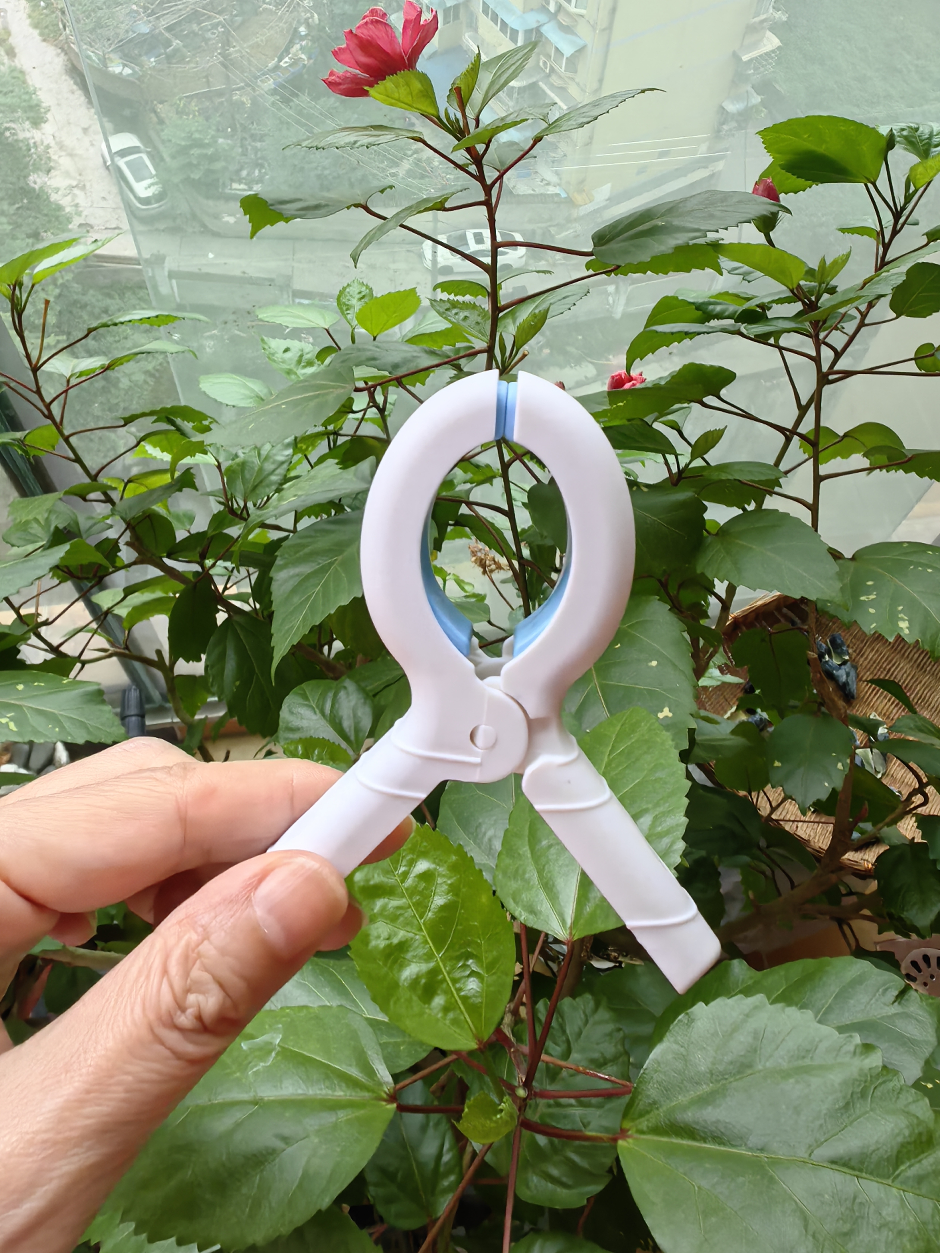 【全网断货王】晾被夹晾衣夹无痕夹子防滑强力家用防风便捷 套色被子夹【3个】 实拍图