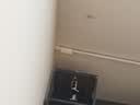 特维德免打孔罗马杆伸缩杆安装窗帘杆子单杆窗帘杆撑杆白色2.2-2.9米 实拍图