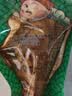 德州扒鸡熟食零食休闲食品独立包装藤椒味德州扒鸡大鸡腿65g*14 实拍图
