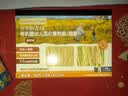 爷爷的农场有机婴幼儿太空造型意大利面200g宝宝面条婴儿面条儿童早餐1岁+ 实拍图