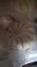 广州酒家鲜汁大肉包390g*2袋 12个 早餐半成品小笼包生鲜速食早茶面点生鲜 实拍图