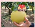 京鲜生福建红心蜜柚 2粒 净重4-5斤 单果2-3斤起 生鲜水果中秋礼盒 实拍图
