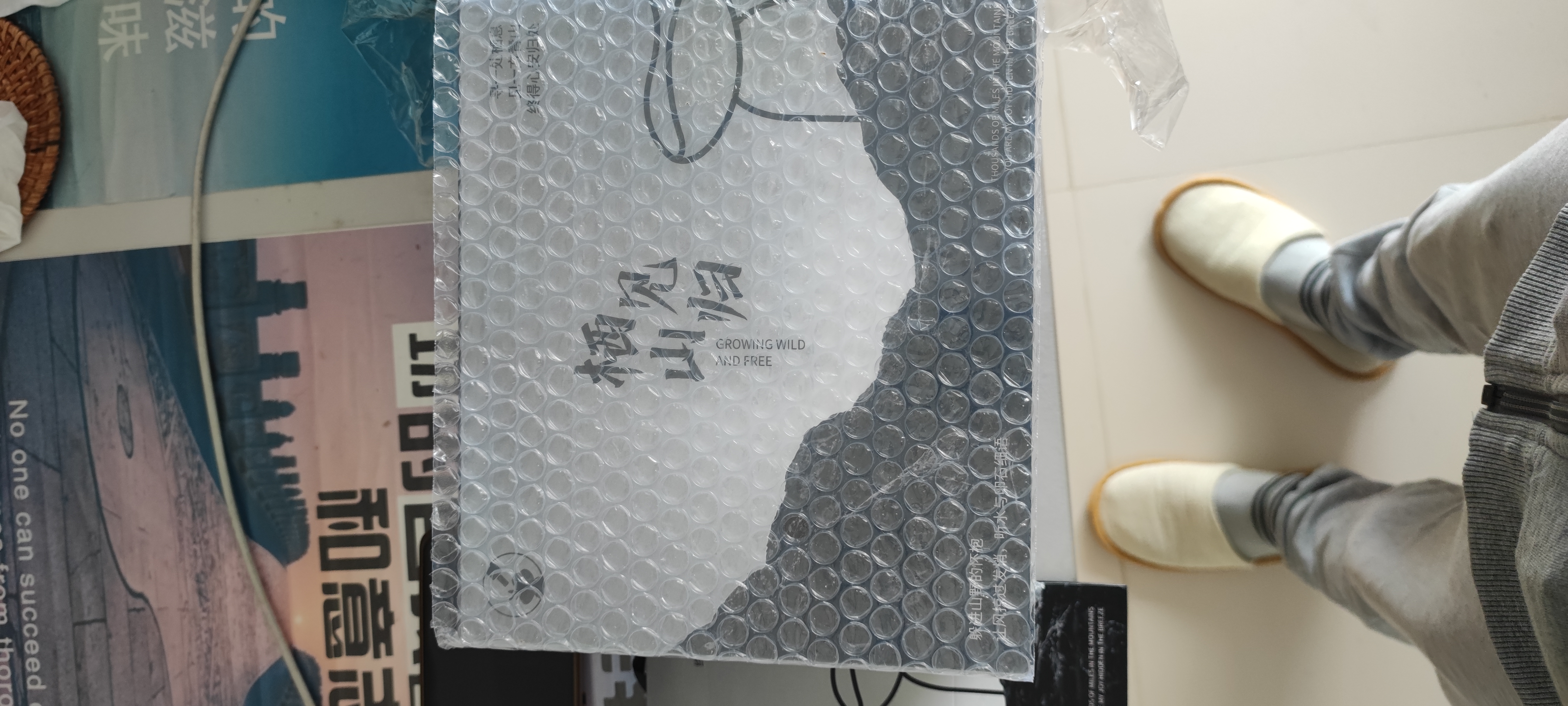 舒居栖于山野香薰礼盒高级感扩香石家用无火香氛摆件送礼香薰乔迁礼物 实拍图