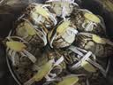 【活蟹】湖鲜阳澄 大闸蟹 去绳足重 全母蟹2.5-2.8两10只 鲜活超大螃蟹现货海鲜礼盒装 实拍图