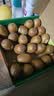 佳沛（zespri）新西兰金奇异果12粒特大果124-146g猕猴桃水果礼盒 实拍图