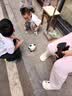 万乐途电动熊猫唱歌跳舞玩具婴幼儿0-1岁抬头练习视觉训练宝宝学爬神器 实拍图