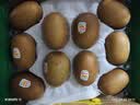 佳沛（zespri）新西兰金奇异果10粒巨大果146-175g猕猴桃水果礼盒 实拍图