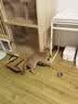 欢宠网猫薄荷球猫玩具猫咪磨牙棒逗猫自嗨解闷神器磨牙猫猫小猫幼猫宠物 实拍图