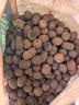 德沃多 碳球陶粒5L花盆垫底拌土回填保水透气水培无土栽培基质绿植花卉多肉养花铺面石10-14mm  实拍图
