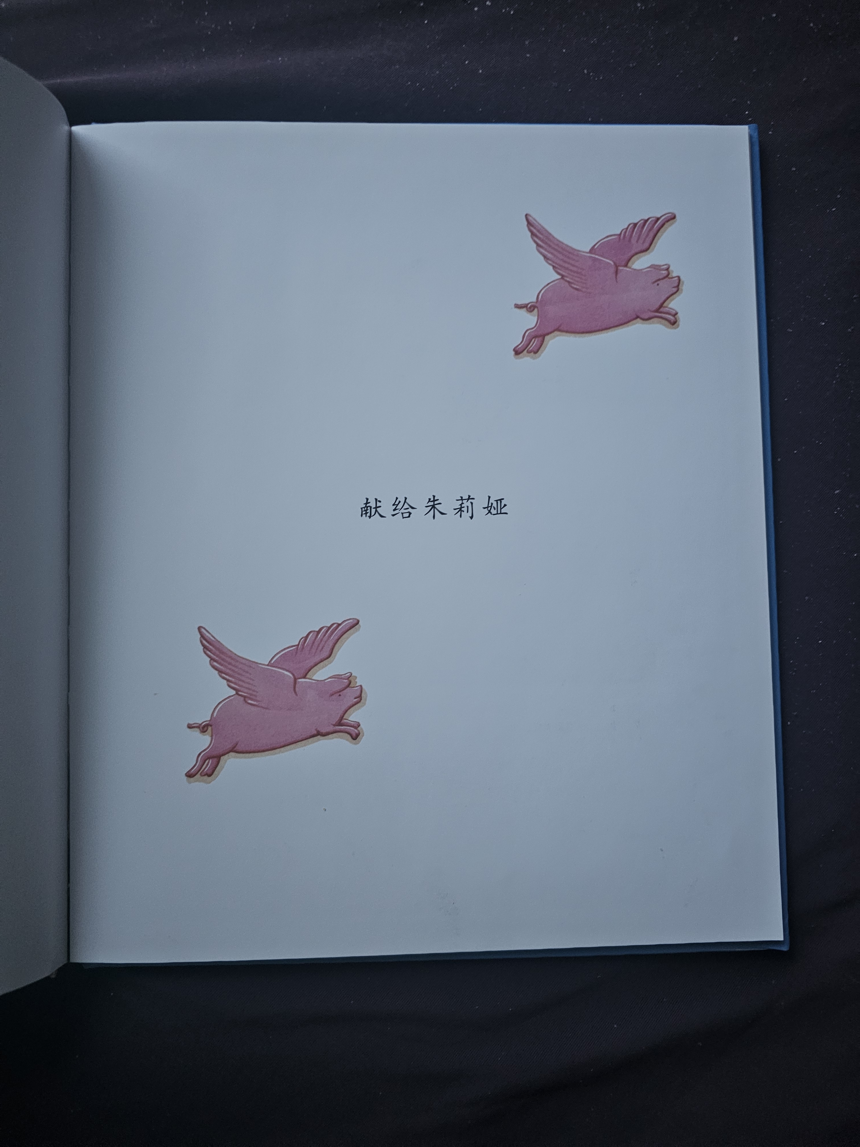 朱家故事  国际绘本大师安东尼·布朗作品！家庭的和睦源于合理的分工、共同的分担、相互的尊重  帮家庭成员理解妈妈的付出 4-8岁（启发出品） 实拍图