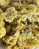 南京同仁堂金银花茶特级干中药材菊花去火官方正品下降火清热解毒凉茶叶泡水 实拍图