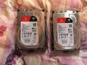 希捷（SEAGATE）NAS硬盘 4TB 256MB 机械硬盘 CMR垂直 静音低耗 数据恢复服务 3.5英寸 希捷酷狼 ST4000VN006 实拍图