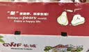 京鲜生 长城莱阳冰糖秋月梨 净重10斤装 单果250g+ 新鲜水果 实拍图