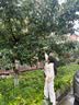 甜甜仔儿童雨衣6-12岁上学专用小学生带书包幼儿园京东自营卡通防水雨披 实拍图