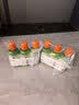 TheraBreath凯斯博士漱口水温和0酒精清新口气473ml*3瓶 实拍图